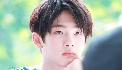 娱乐吃瓜酱易云fan,娱乐吃瓜酱的独家揭秘与幕后故事